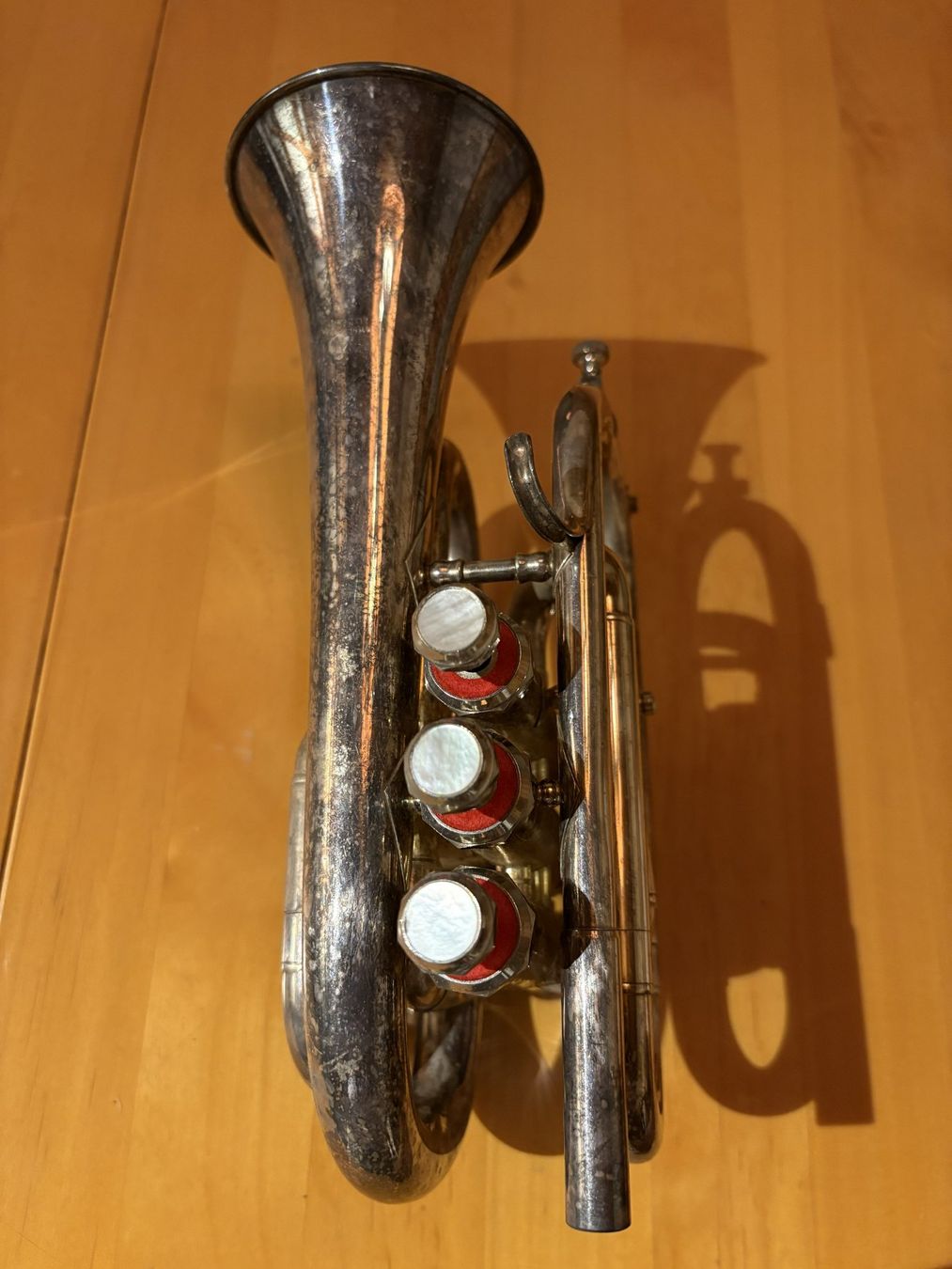 Strumenti musicali: B‑Cornet – Usato da Muttenz venduto da adeller 1