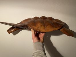 Schildkröte Holzfigur Dekoration braun neuwertig