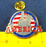 AMERICA LIBERTY SCHMUCK-PIN GOLDIG GEPRÄGT