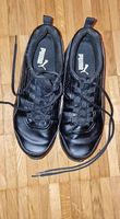 Puma Schuhe Grösse 41