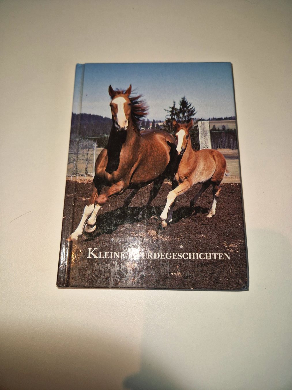 Libri: Buch kleine Pferdegeschichten – Usato da Stüsslingen venduto da white_angel86