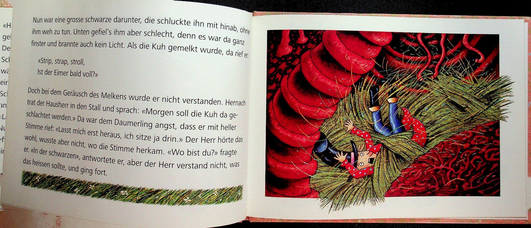 Libri: Brüder Grimm: Daumerlings Wanderschaft Jürg Obrist – Usato da Reitnau venduto da Zaomir 7