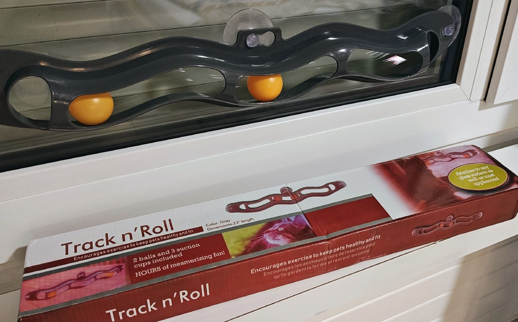 Giocattoli: Katzenspielzeug / Katzenspielbahn Window – Nuovo (secondo la descrizione) da Thalwil venduto da Billie_Green