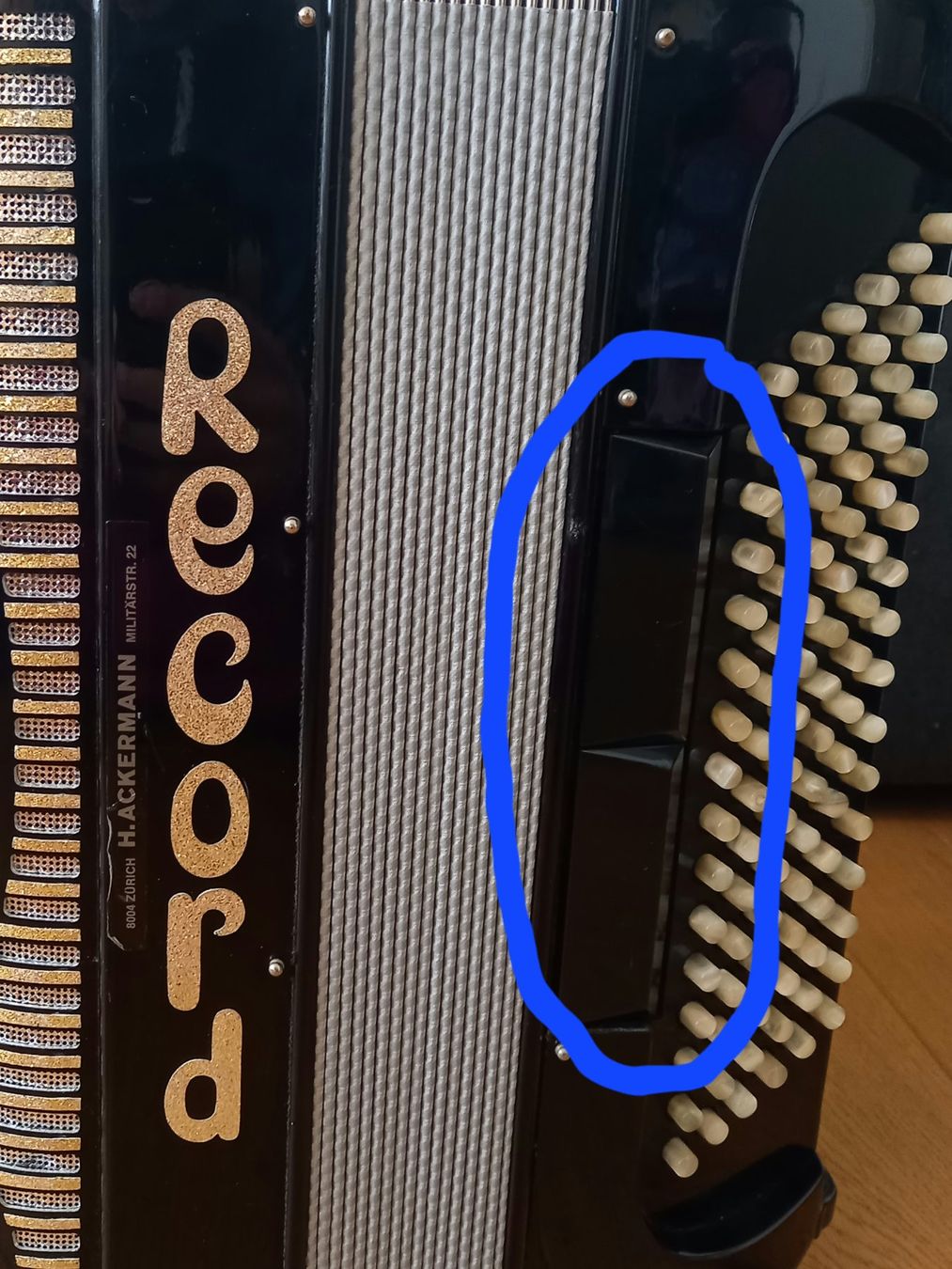 Record Strumenti musicali: Akkordeon – Usato da Meilen venduto da appoloni 2