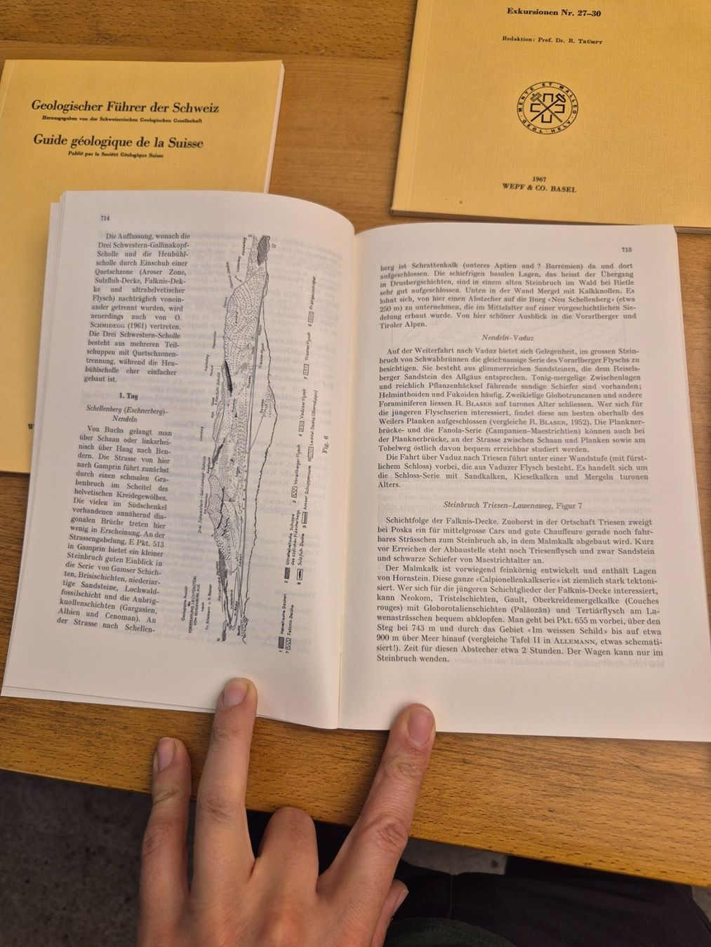 Libri: Guide géologique de la Suisse 1967 – Usato da Bogis-Bossey venduto da VNT-GE.ch 6