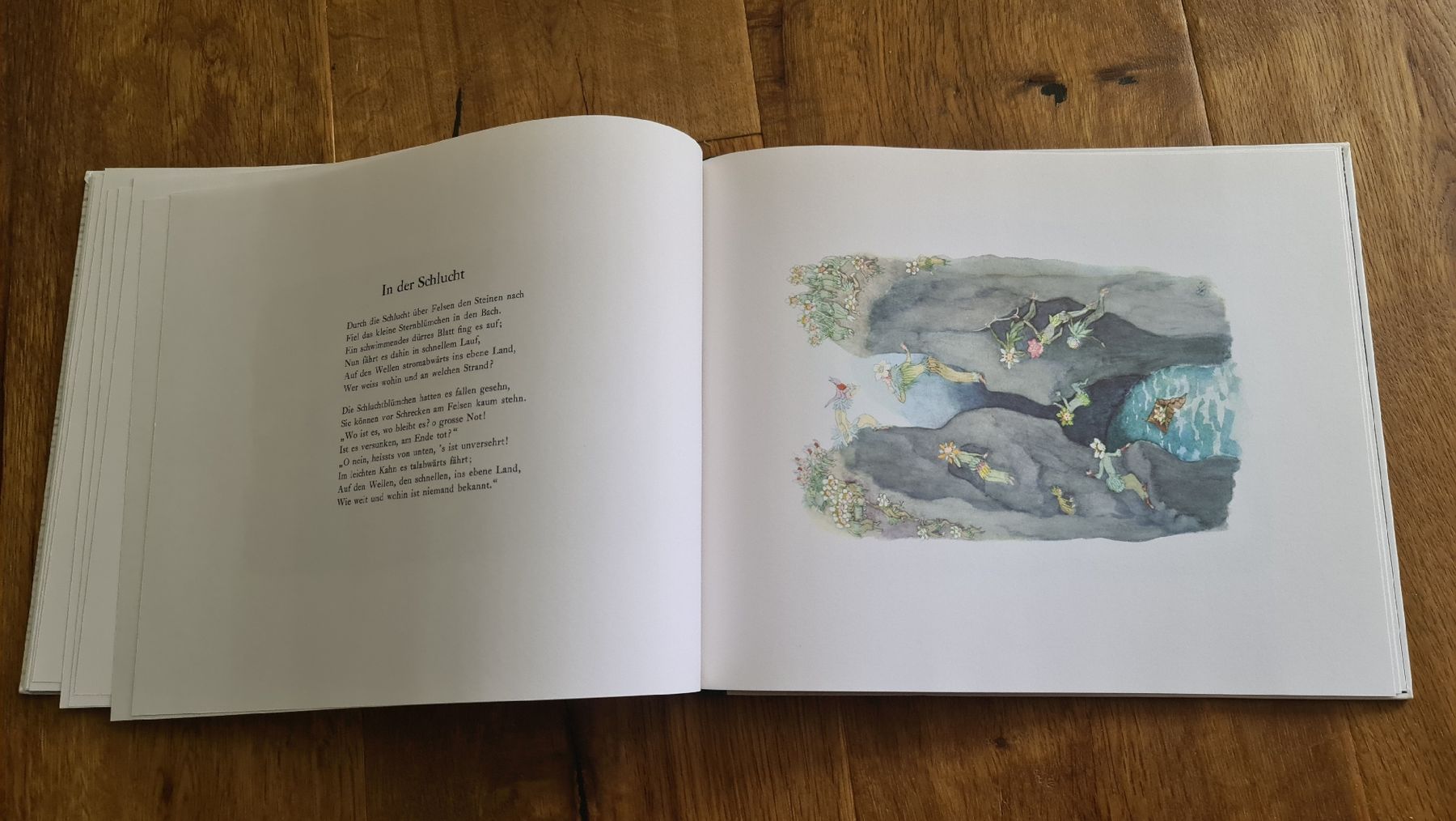Libri: alpenblumenmärcher erich käster buch – Usato da Wittenbach venduto da Tigerlili 3