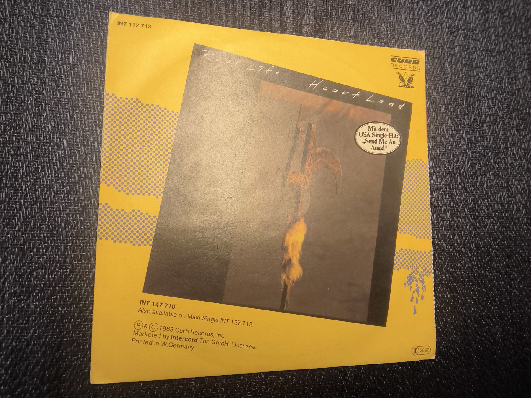 Dischi in vinile: VINYL Single: Real Life - Catch me I'm falling – Usato da Allschwil venduto da marketingprojects 1
