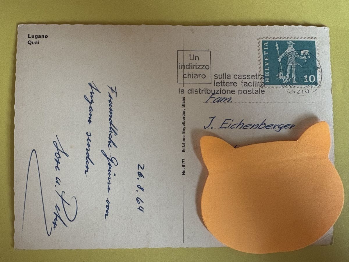 Cartoline postali: SK von Lugano Quai – Usato da Rümlang venduto da Kartenpost1 1