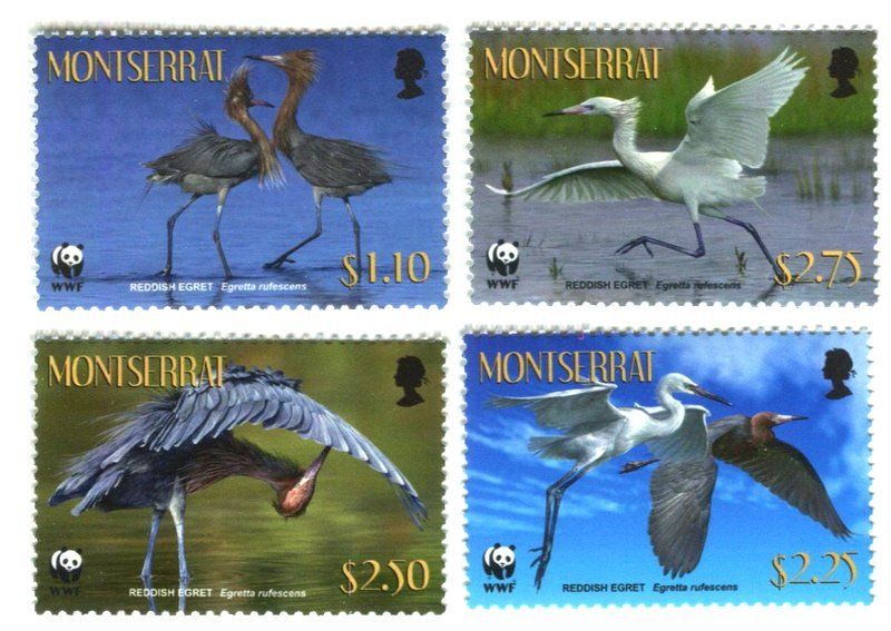 Tous les timbres: Briefmarken "Reiher". Montserrat. – Neuf avec emballage d'origine à Basel par Butsch5