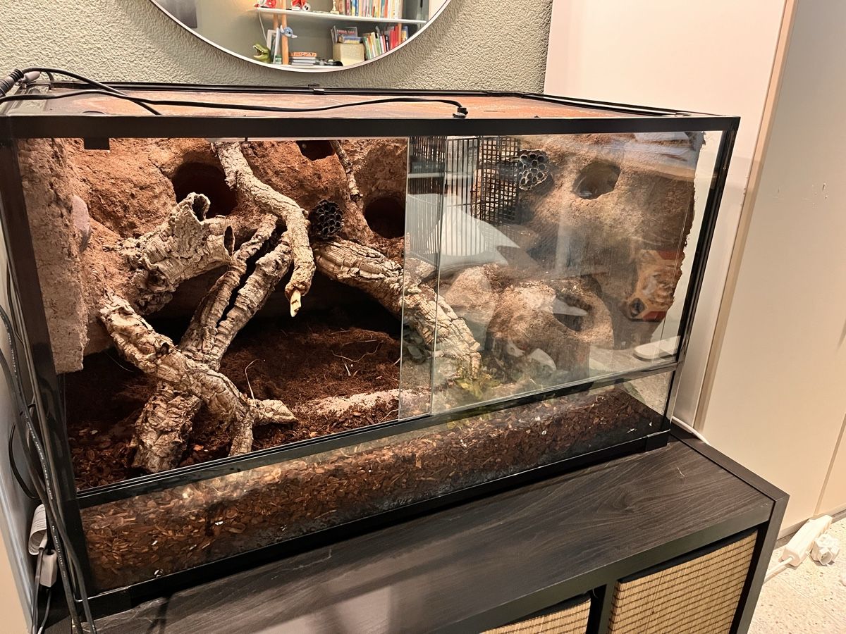 Terrario: Terrarium mit Zubehör – Usato da Birmensdorf ZH venduto da JuliaCrincoli