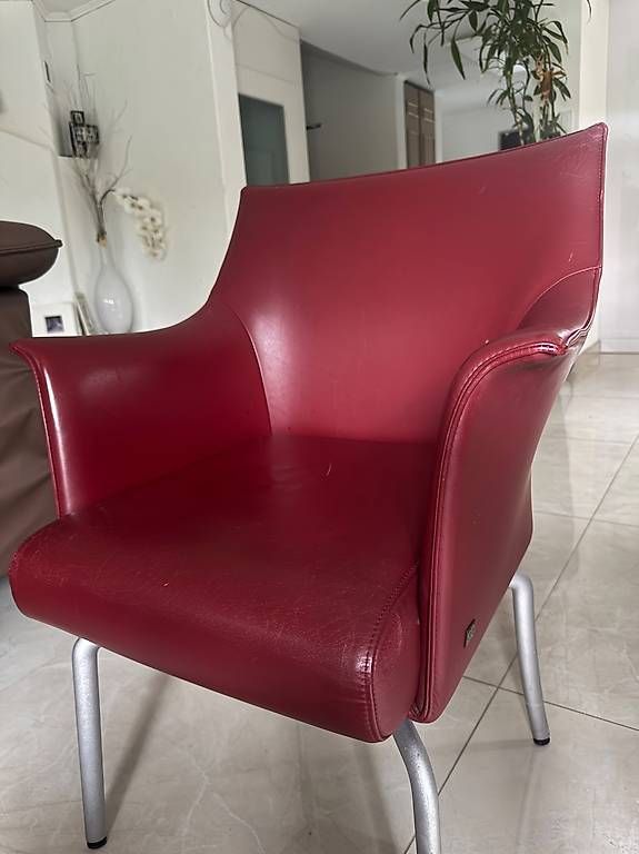Stühle: Rolf Benz Essstühle  – Gebraucht aus Fruthwilen von SkaiMengDragonheart