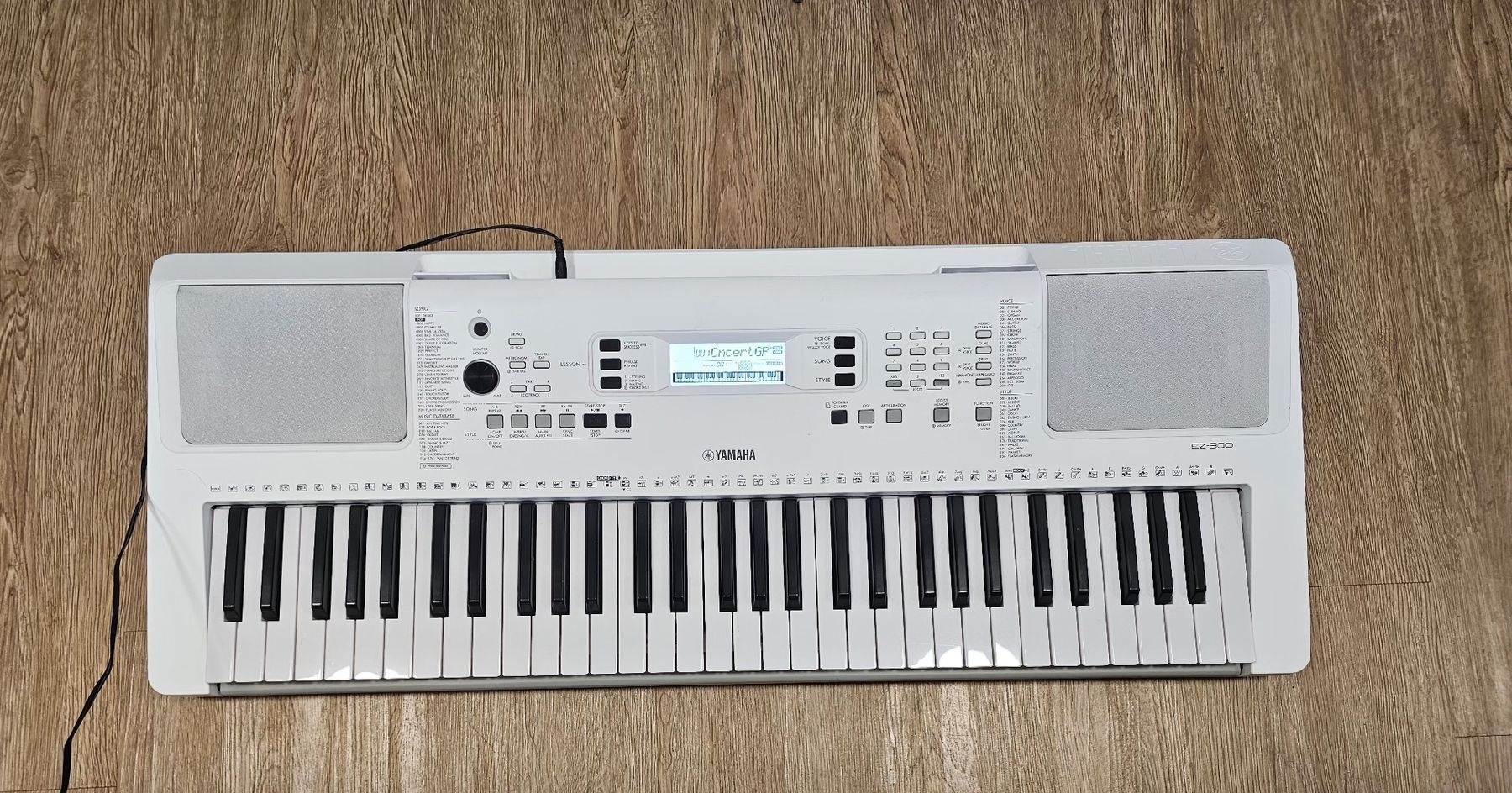 Strumenti musicali: Keyboard Yamaha EZ-300 – Usato da Tann venduto da Samimi02