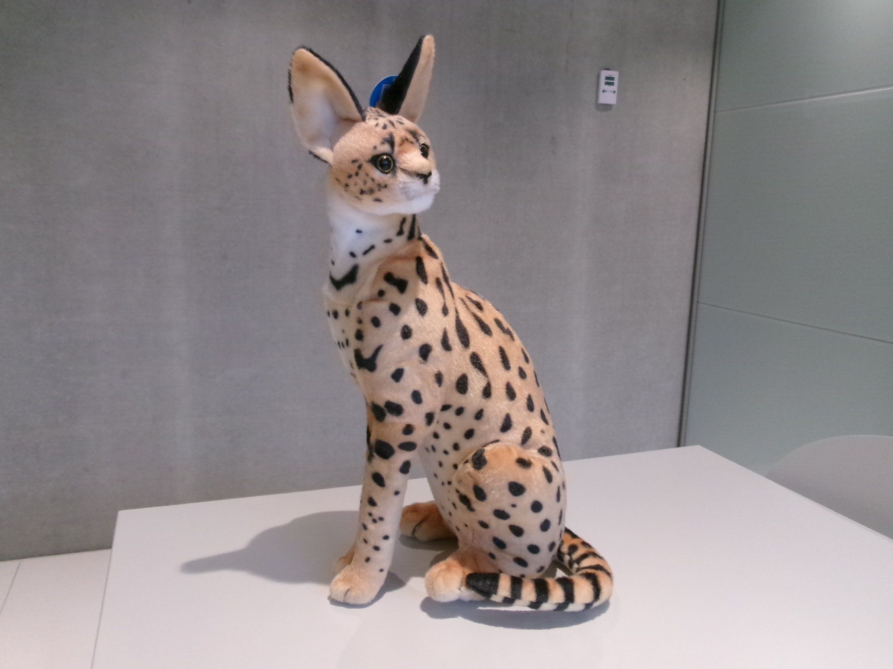 Giocattoli: Dubi / Serval  / Savannah-Katze / 49 cm – Nuovo e nell'imballaggio originale da Welschenrohr venduto da StarRecordsGmbH 4