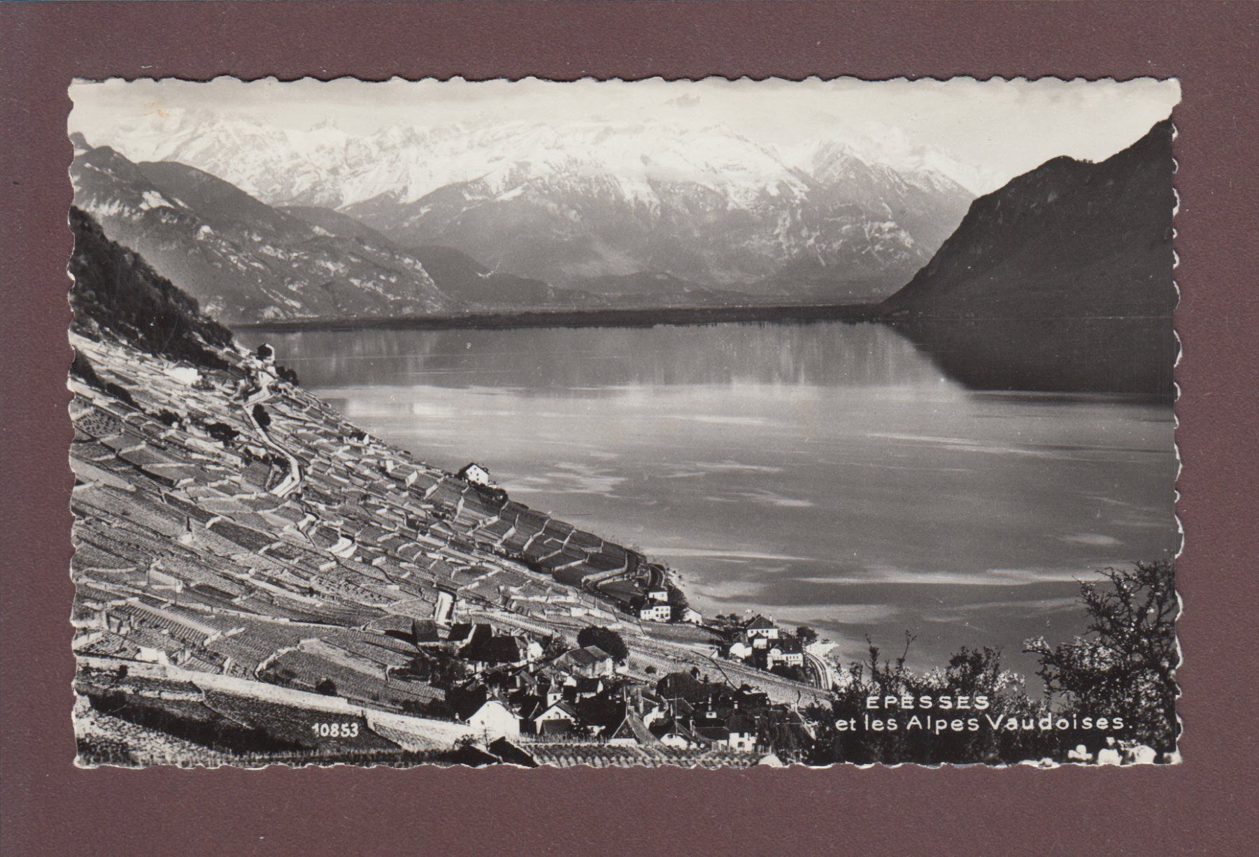 Cartoline postali: EPESSES - Alpes vaudoises - 1965 – Usato da Pully venduto da nicecards