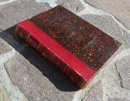 Sammlerobjekt ++ Jahrbuch Schweizer Alpenclub 1890-1891