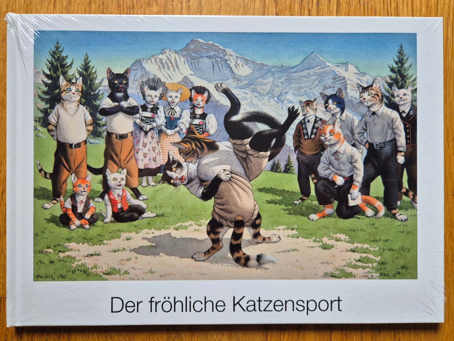 Libri: Lustiges Katzenbuch Weihnachtsgeschenk – Nuovo e nell'imballaggio originale da Opfikon venduto da Steins_Siedlung
