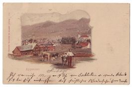 Appenzell, Lichtdruck koloriert, gelaufen 1898