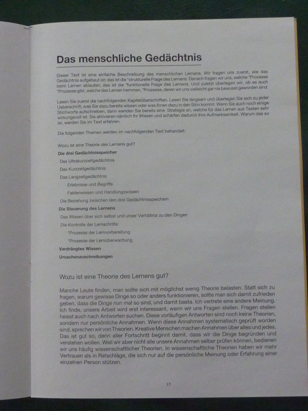Bücher: DELV: Das eigene Lernen Verstehen – Gebraucht aus Triengen von Nussbaum14 6