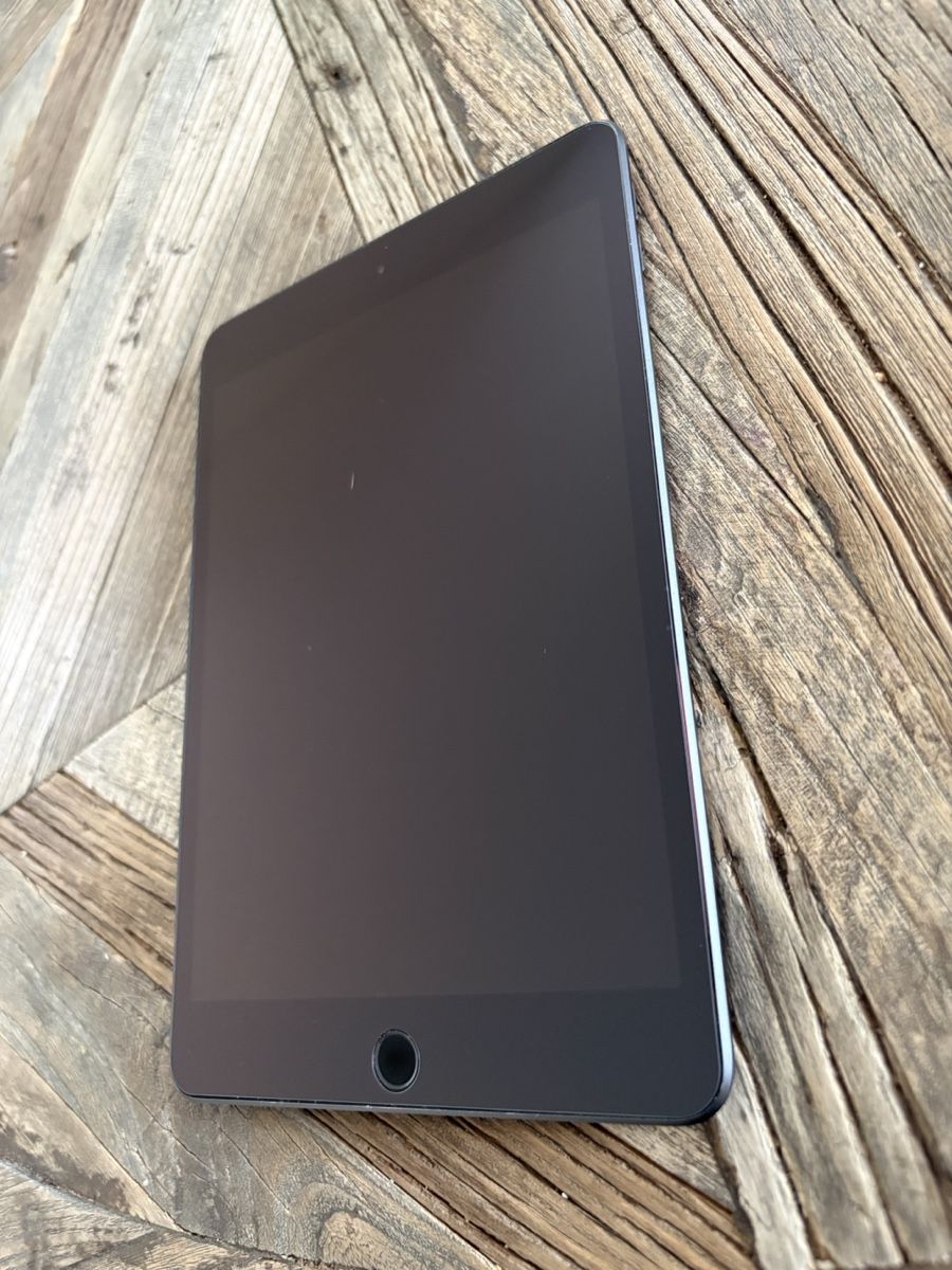 Apple Tablet PC: Apple iPad mini (5. Generation) 64 GB mit Hülle – Usato da Ballwil venduto da Soia