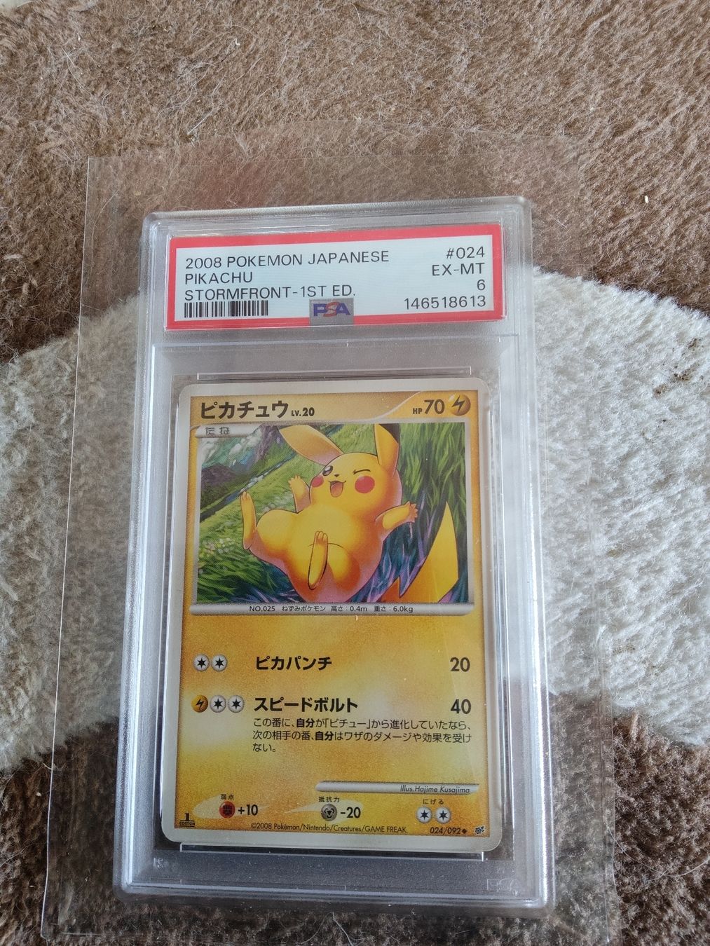 Pokémon Carte collezionabili: PIKACHU Stormfront #024 1ST EDITION 2008 PSA 6 EX-MT – Usato da Vezio venduto da 41181