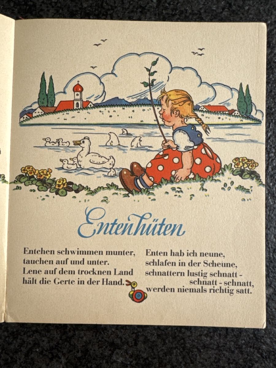 Libri: Kinderbuch Dildeldum, Buch Verlag F.W. Stritzinger – Usato da Eschenz venduto da Belladog 5