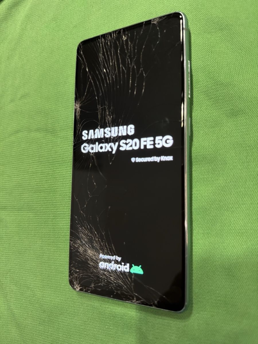 Samsung Portables: Samsung S20 FE 5G / Silber / H15 – D'occasion à Arbon par BaX_94
