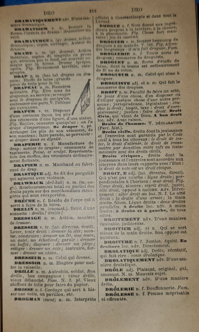 Libri: P.Larousse / Nouveau Dictionnaire Illustré. – Usato da Cortaillod venduto da signep 8