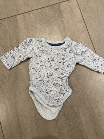 Body 56