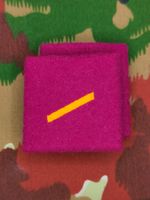 Schulterpatten Ord. 2004 Soldat, Set, Variante 4