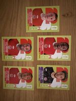 Panini
