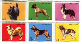Briefmarken "Hunde". Paraguay