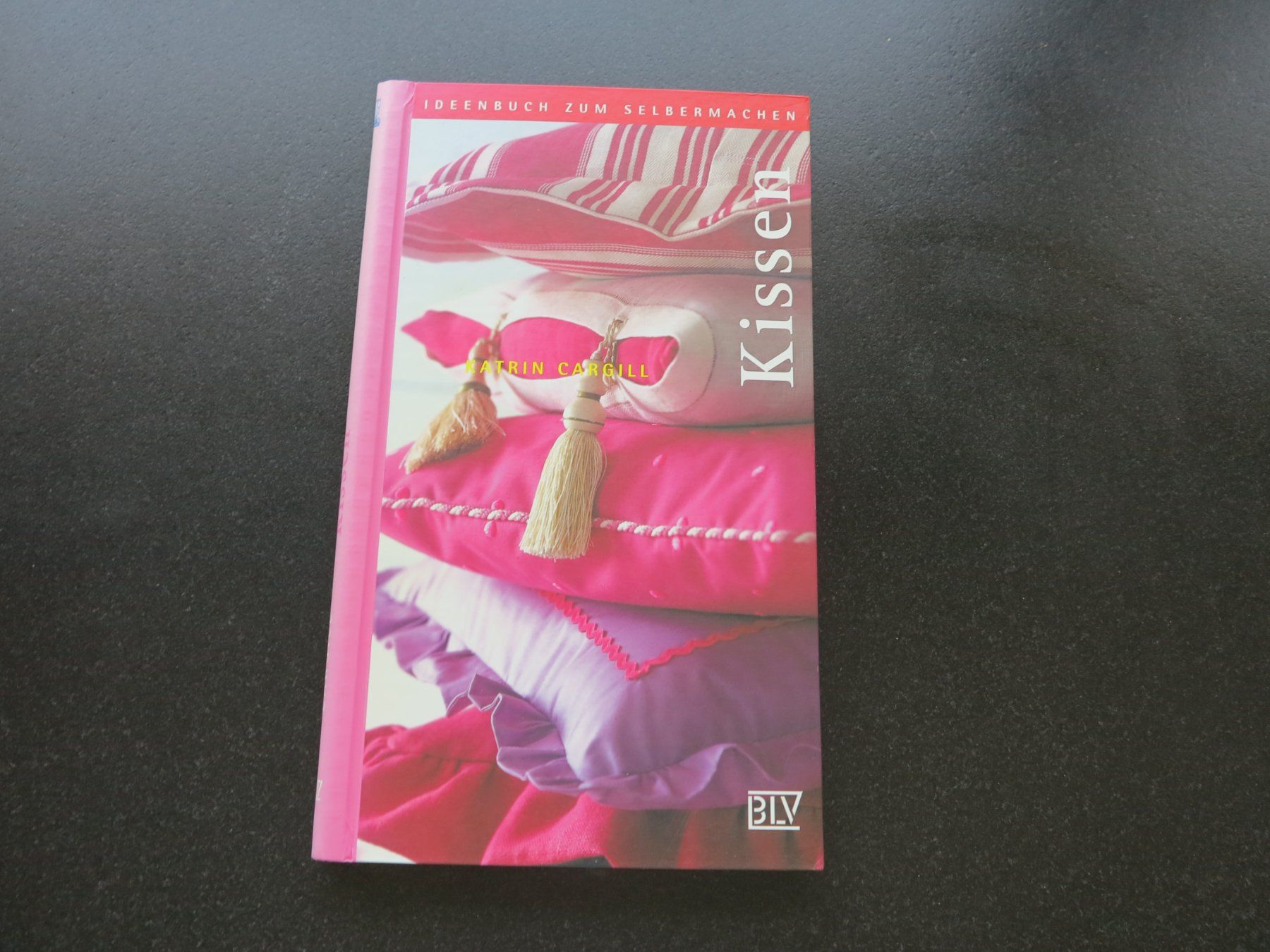 Libri: Kissen von Katrin Cargill – Usato da Büttikon AG venduto da Kaebri