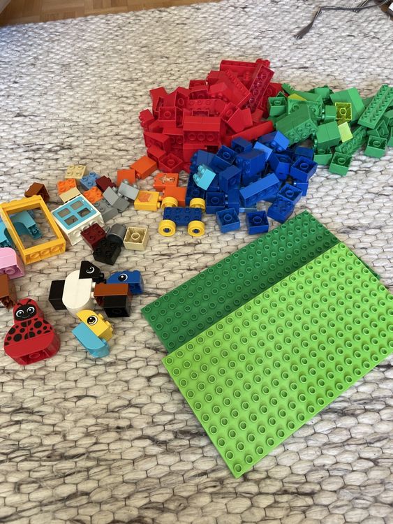 Duplo Spielzeuge: Grosser Duplo Steine Mix - Perfekt für kleine Baumeister! – Gebraucht aus Männedorf von Dorrii85