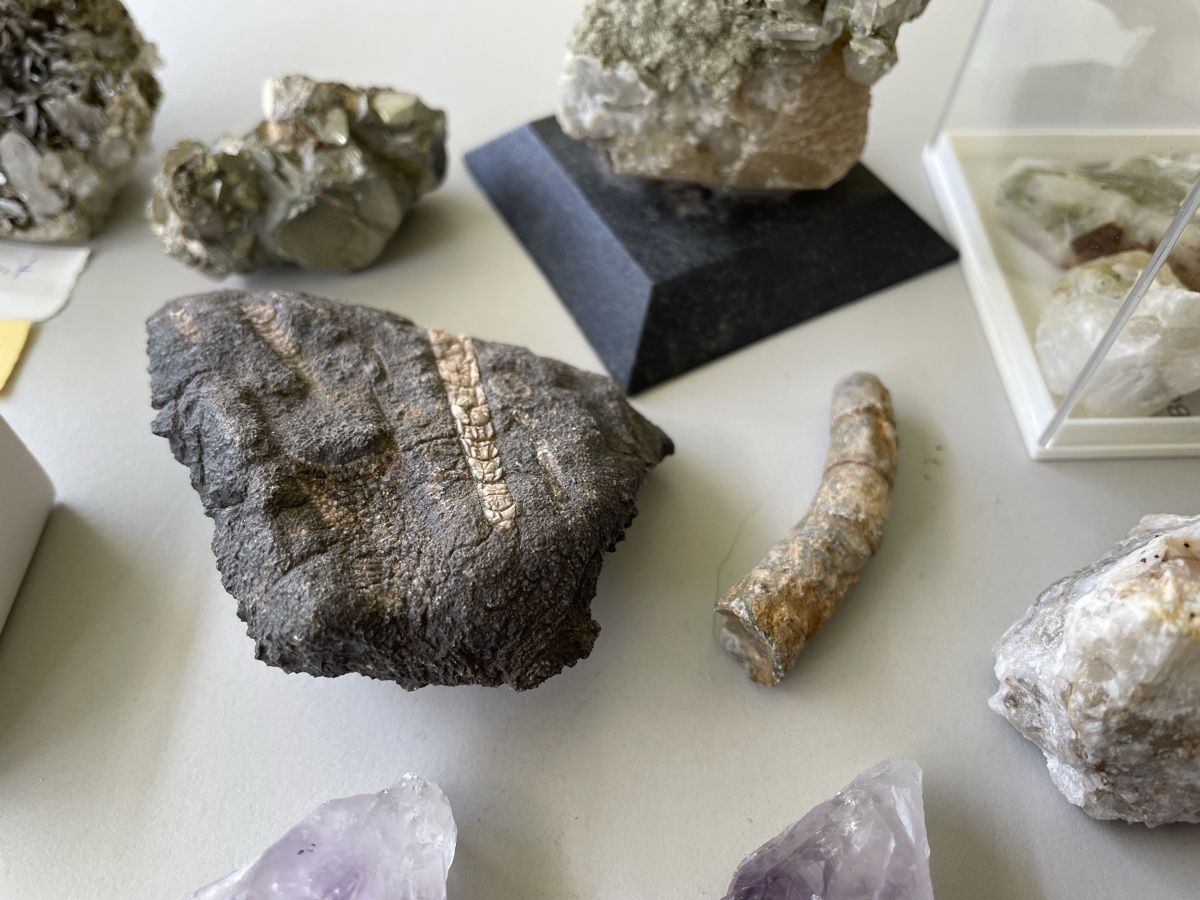 Minerali & Pietre curative: Mineraliensammlung  – Usato da Mollis venduto da Romana1978 5