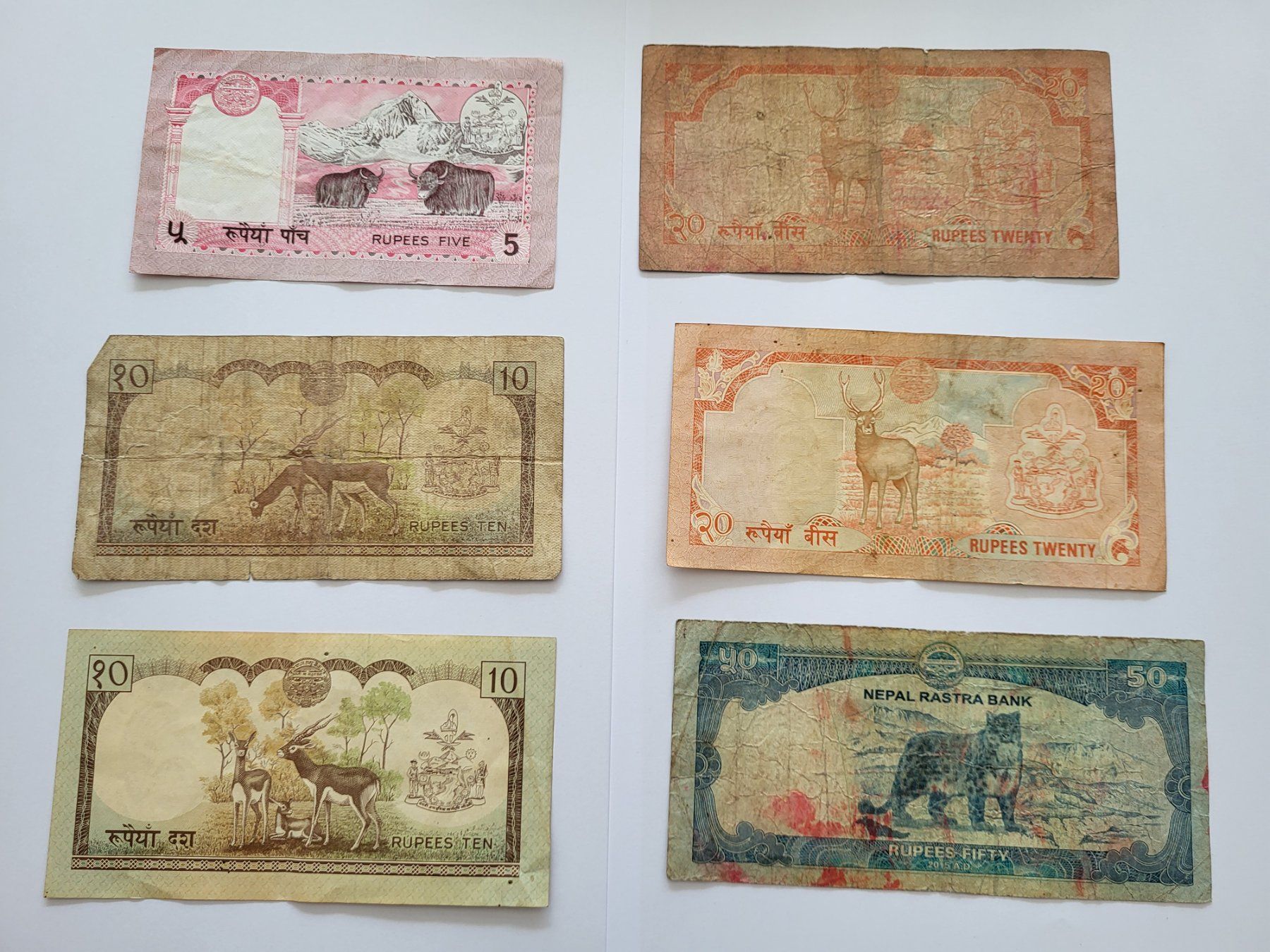Banconote: Banknoten aus Nepal – Usato da Pravidondaz venduto da LVtik 4