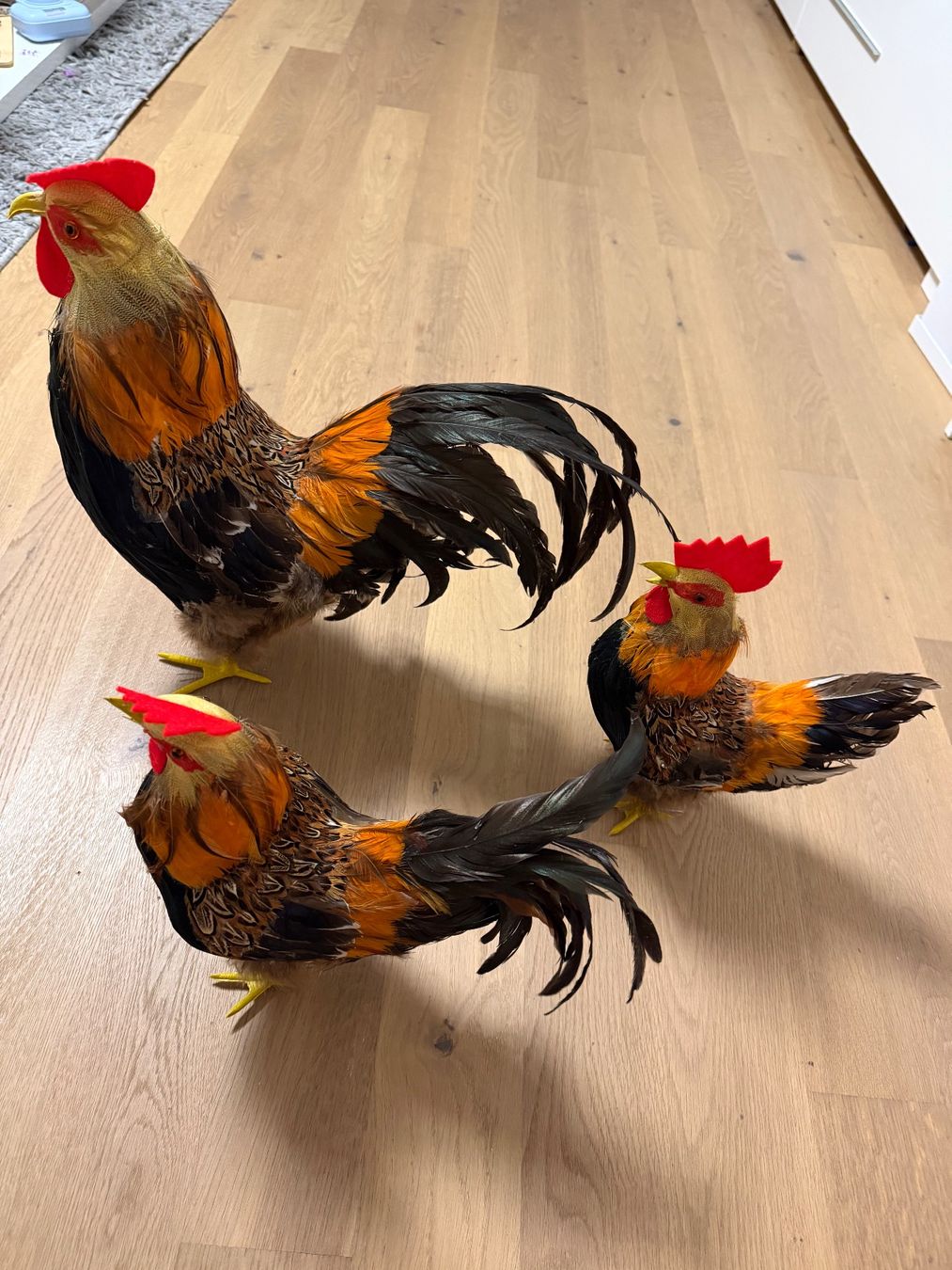 Figuren: Dekohühner – Gebraucht aus Herisau von Scorpion445 1