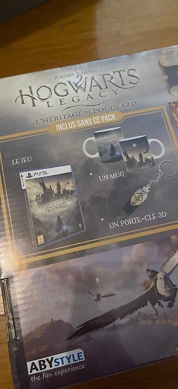 Jeux: Jeu PS5 hogwarts legacy coffret collector  – D'occasion à Lausanne par Aliasneo 1