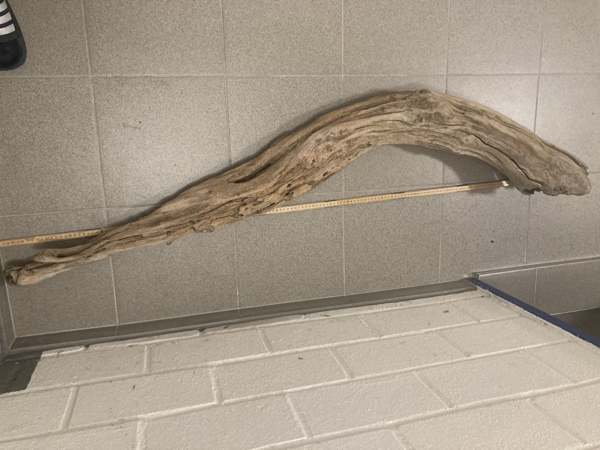 Holzartikel: Schwemmholz – Gebraucht aus Staad SG von gab_7dr9 2