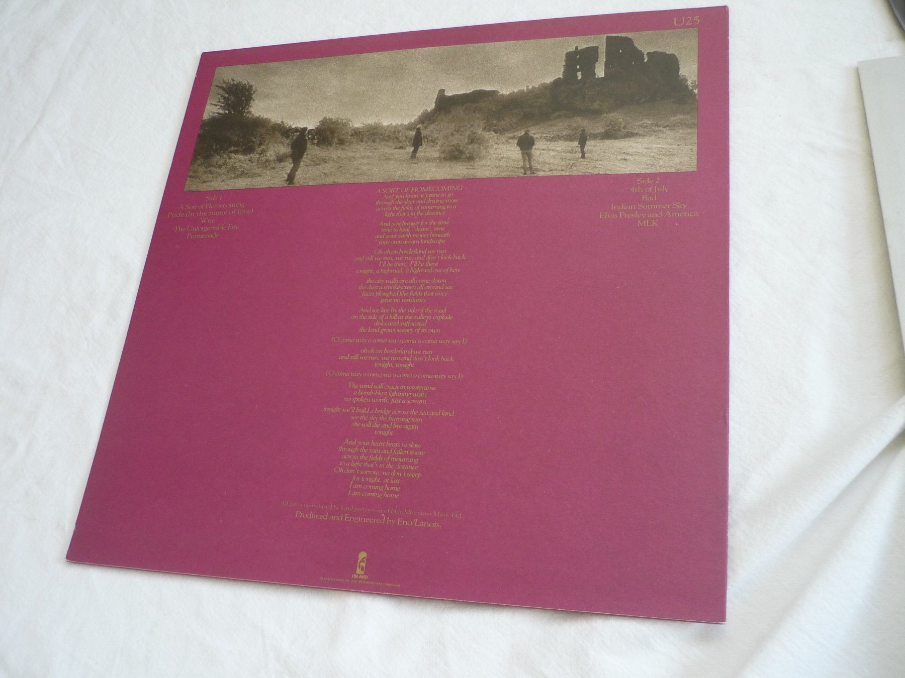 Dischi in vinile: 1x 12" Schallplatte - U2 the unforgettable Fire – Usato da Beringen venduto da Flatretriever 3
