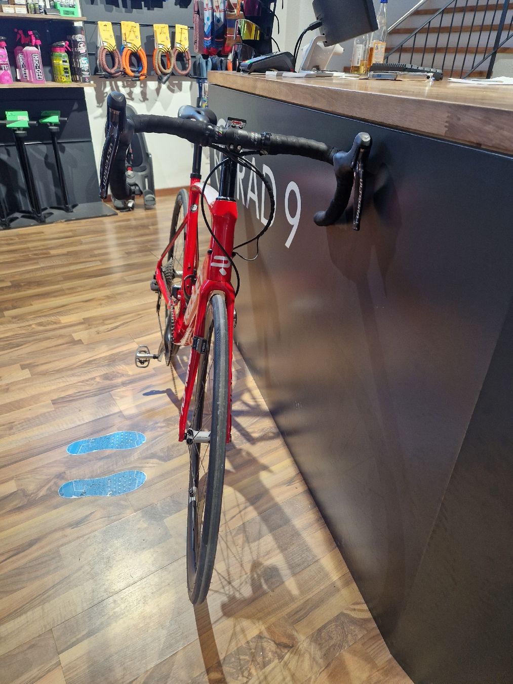 Biciclette: Rennrad Ridley – Usato da Rorschach venduto da Rad9_GmbH 2