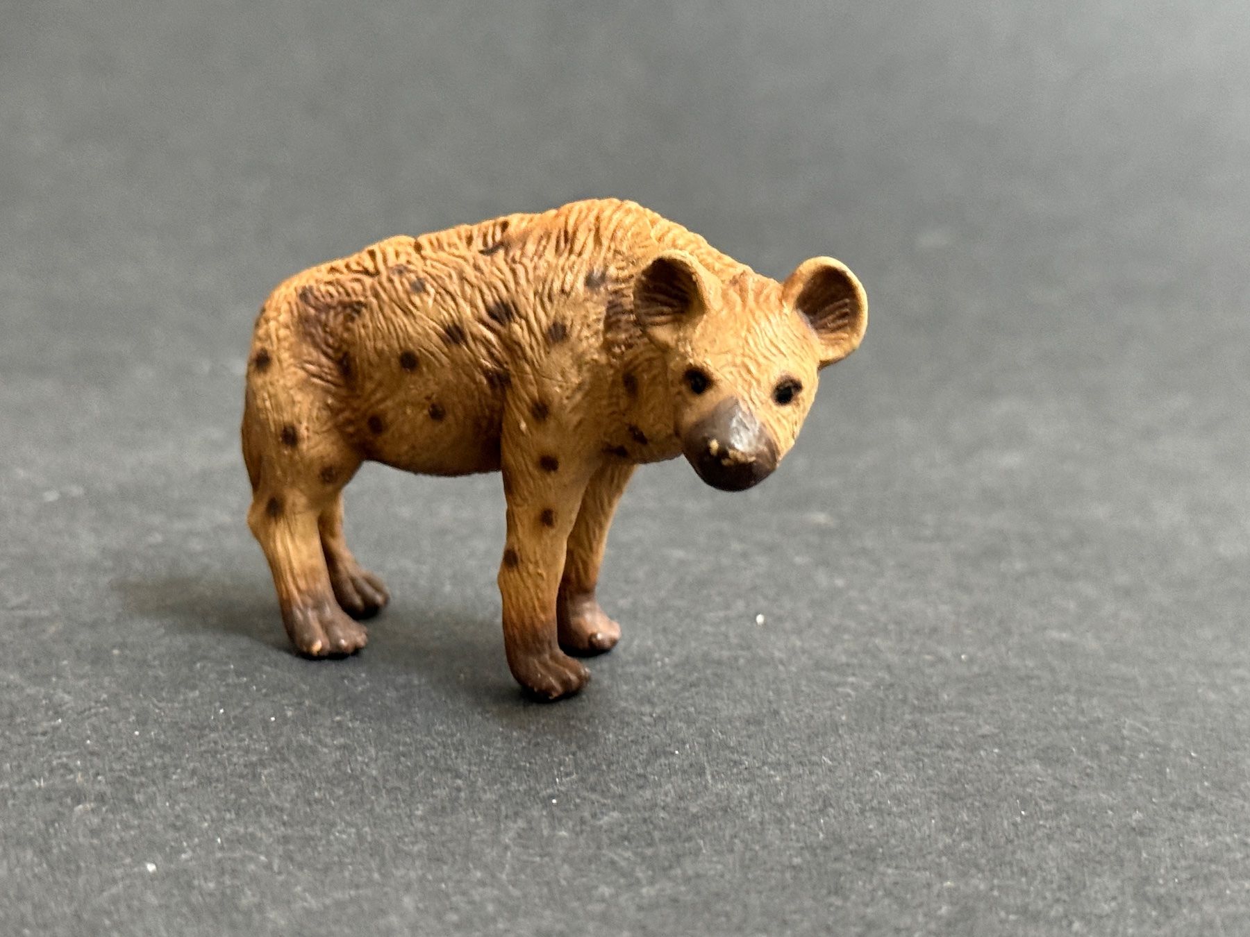 Schleich Statuette: Schleich Hyäne 1996 made in Germany Tüpfelhyäne – Usato da Ennetbaden venduto da mapa05 2