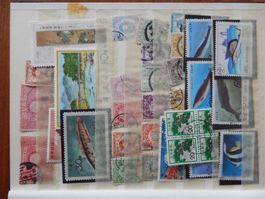 Asien kleine Sammlung in Steckbuch II