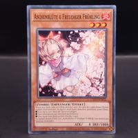Aschenblüte & Freudiger Frühling - Common - DE