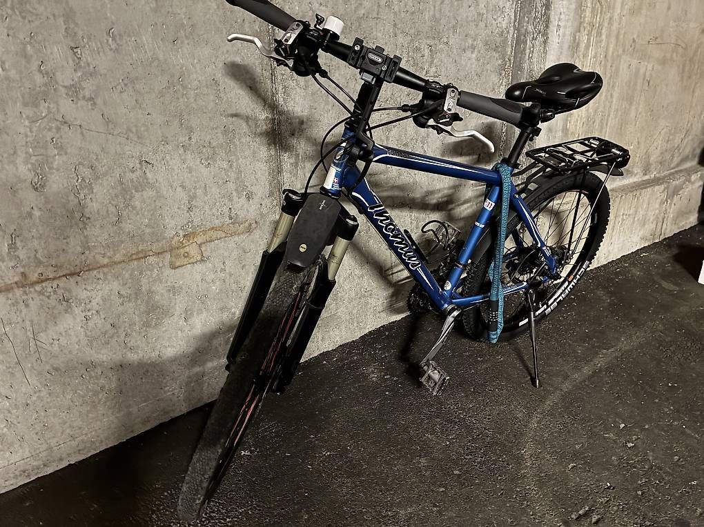 Vélos: Thömus Tomcat Alu Disc – D'occasion à Schwarzenburg par Martha56 1