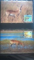 WWF Botswana 1988 Roter Litschi Satz Maximumkarten