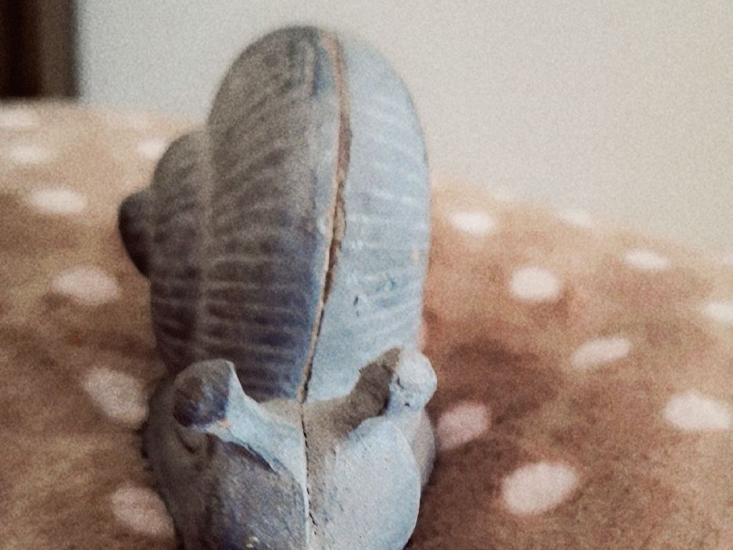 Tutte le decorazioni: Deko Schnecke grau Beton? für Garten oder Haus – Nuovo (secondo la descrizione) da spreitenbach venduto da lumbalplatte 3