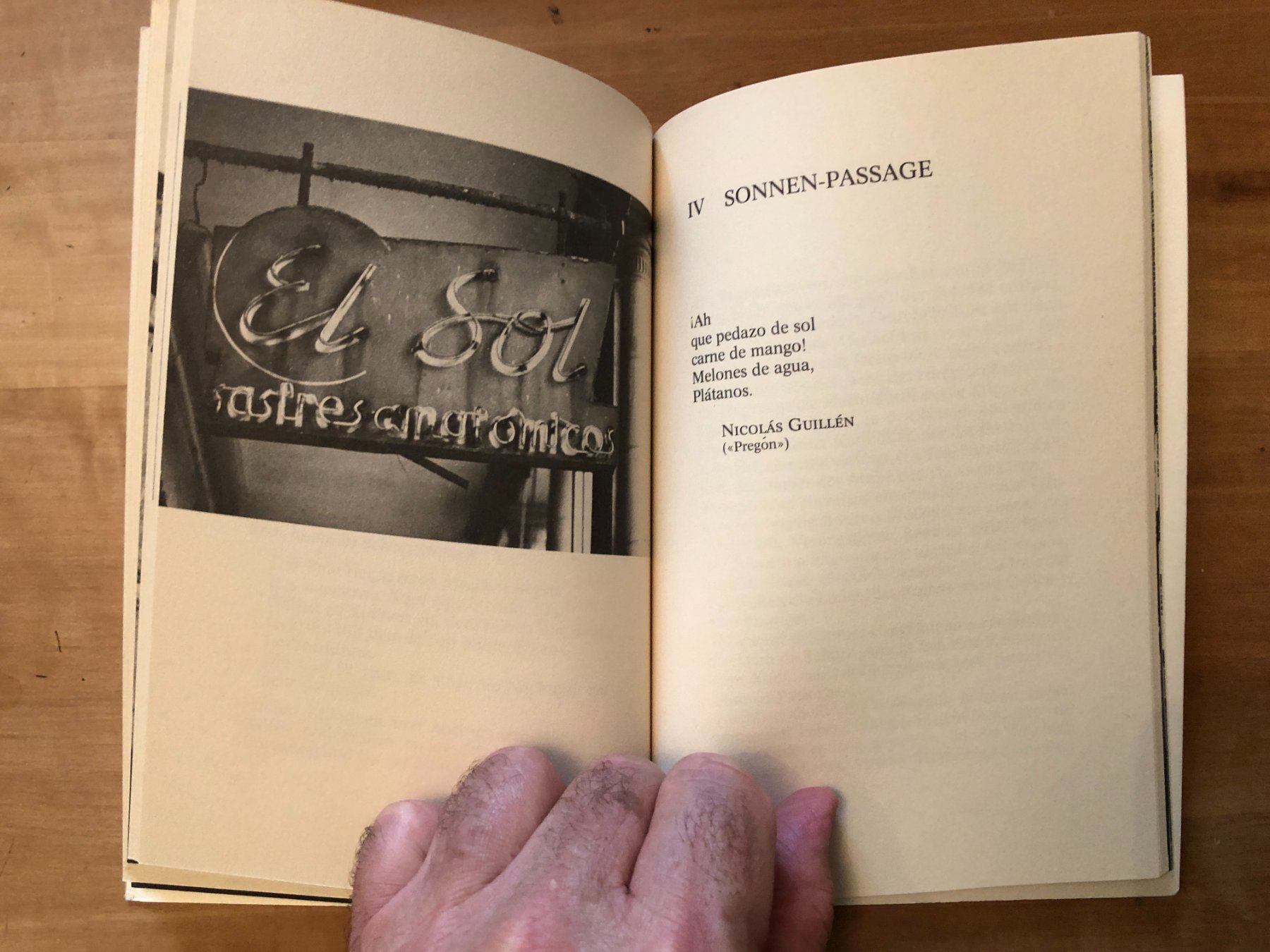 Libri: Anne Cuneo: Hotel Venus – Usato da Zürich venduto da allp 7