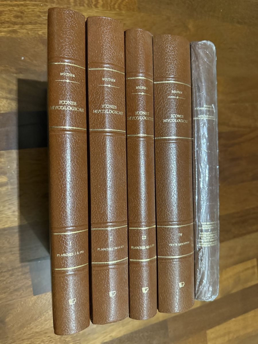 Libri: Iconographie des Champignons Boudier 5 Vol. – Nuovo (secondo la descrizione) da Montreux venduto da kingfisherbeach