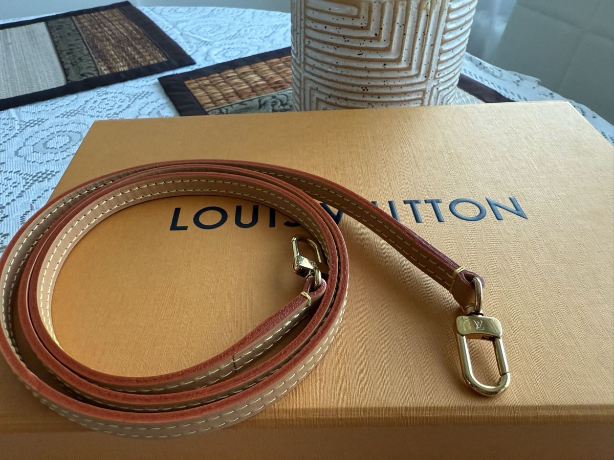 Louis Vuitton Taschen: Louis Vuitton  Petit Sac Plat Tote Bag – Neu (gemäss Beschreibung) aus Zürich von Sweeti39 7