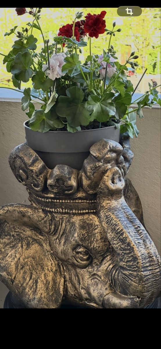 Vasi per fiori: Robuste Blumentopf mit Elefant 🐘 Optik – Nuovo (secondo la descrizione) da Basel venduto da Ivana_4 8